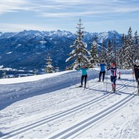 Hotel Alpenhof (W) - www.marco-polo.cz