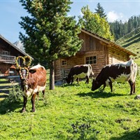 Hotel Alpenhof (S) - ckmarcopolo.cz