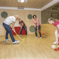 Hotel Alpenhof (S) - ckmarcopolo.cz