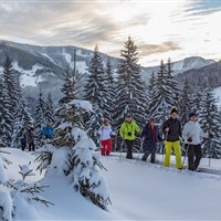 Hotel Alpenhof (W) - www.marco-polo.cz