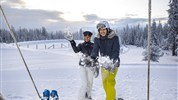 Hotel Alpenhof ****