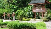 Poznávací zájezd na Borneo (Malajsie) – Orangutani, Kinabatangan a ostrov Manukan - Vstup do rezervace, kde můžete vidět primáty Bornea