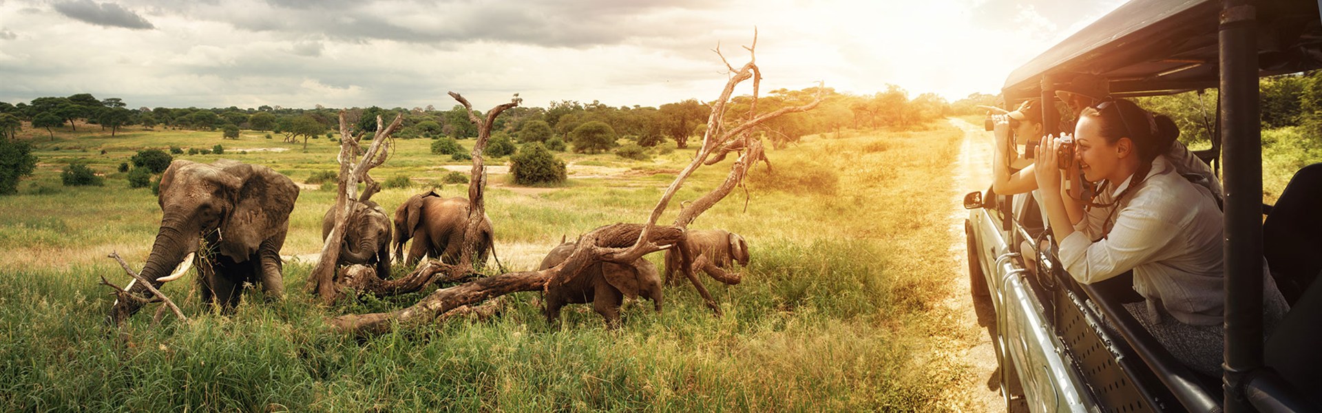 Srí Lanka - Velký okruh Cejlonem se 4 národními parky - Velký okruh Sri Lankou s CK Marco Polo.