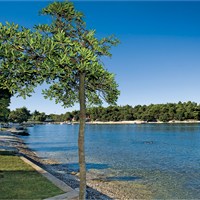 Hotel Zorna Plava Laguna - ckmarcopolo.cz