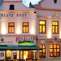 Hotel Concertino - Zlatá Husa - Hotel Concertino - hlavní forka - ckmarcopolo.cz