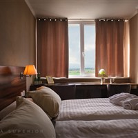 Hotel Palcát - Pokoj Superior v hotelu Palcát - ckmarcopolo.cz