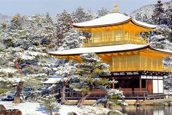 Cesta zimním Japonskem: Makakové a zasněžené chrámy - 