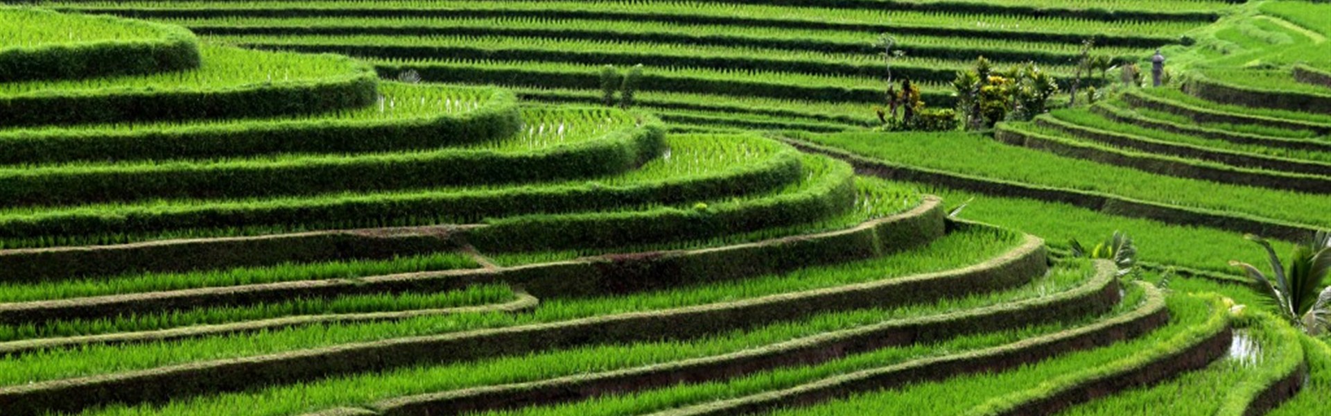 Krásy Bali, Lomboku a Gili Meno s českým průvodcem - 