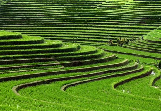 Krásy Bali, Lomboku a Gili Meno s českým průvodcem - Lombok - 
