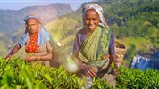 Od čajových plantáží Darjeelingu k himálajským klášterům Bhútánu