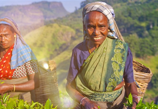 Od čajových plantáží Darjeelingu k himálajským klášterům Bhútánu - Indie - 