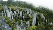 Poznávací zájezd na Borneo (Malajsie) – Orangutani, Kinabatangan a ostrov Manukan - Vápencové skalní útvary Pinnacles v národním parku Gunung Mulu