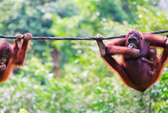 Marco Polo - The Kuala Lumpur Journal Hotel - 