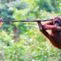 The Kuala Lumpur Journal Hotel - ckmarcopolo.cz