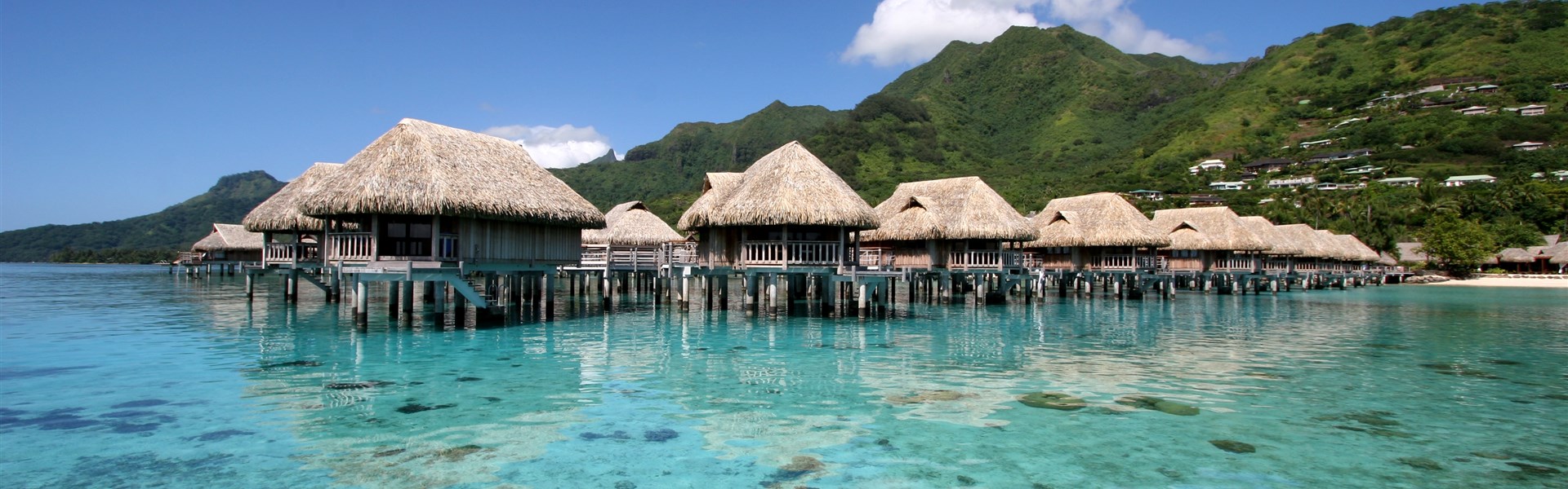 Marco Polo - Sofitel Moorea Ia Ora Beach Resort - ostrov Moorea - 