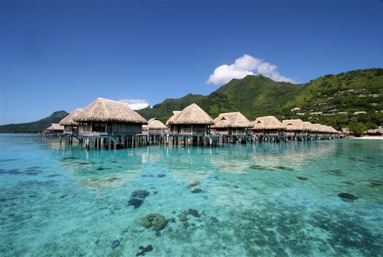 Marco Polo - Sofitel Moorea Ia Ora Beach Resort - ostrov Moorea - 