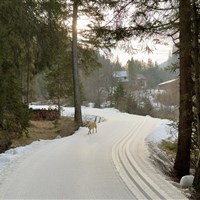 Parkhotel Sole Paradiso - ckmarcopolo.cz