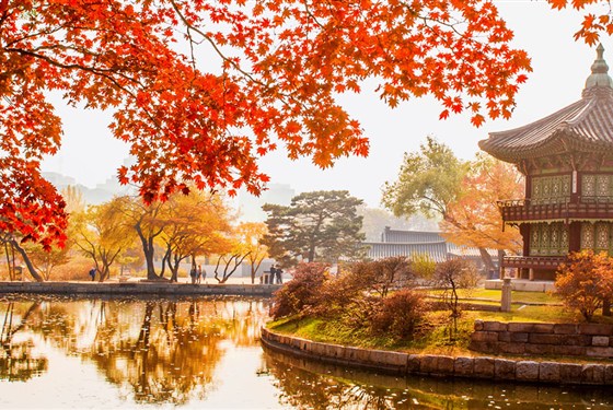 Marco Polo - Kdy vyrazit do Jižní Koreje a kdy se jí raději vyhnout