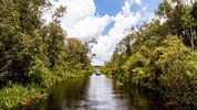 Poznávací zájezd - Plavba pralesem Kalimantanu - Meandrující tropická řeka v Sarawaku na ostrově Borneo.