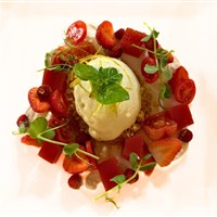 Hotel Europeo Alpine Charme & Wellness - ckmarcopolo.cz