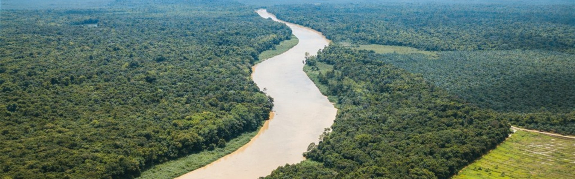 Poznávací zájezd - Plavba pralesem Kalimantanu - Meandrující řeka v srdci Bornea. Užijte si poznávací zájezd na Borneo