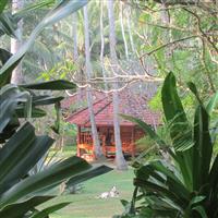 Palm Paradise Cabanas + Villas - Cabanas - ckmarcopolo.cz