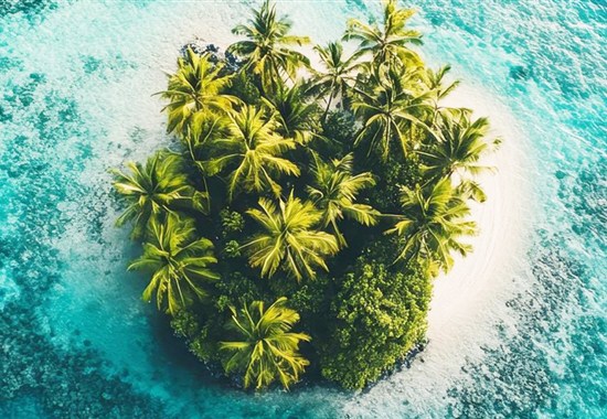 Tichomořské dobrodružství: Nový Zéland a Cookovy ostrovy -  - 