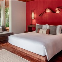 Anantara Rasananda Koh Phangan Villa Resort & Spa - Pokoj Garden Pool Villa - ckmarcopolo.cz