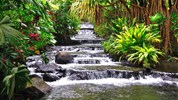Kostarická odysea - od Pacifiku ke Karibiku: Corcovado, Tortuguero, Arenal, Monteverde - La Fortuna, Arenal. Zájezd do Kostariky s CK Marco Polo