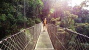 Kostarická odysea - od Pacifiku ke Karibiku: Corcovado, Tortuguero, Arenal, Monteverde - Visuté lávky v korunách stromů najdete v Kostarice v oblasti La Fortuna (Arenal) a Monteverde.