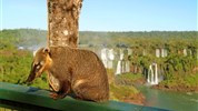Brazílie bez hranic: Velkolepé Rio, ohromující Iguazu a tajemná Chapada