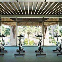Sofitel The Palm Resort & Spa - Moderní fitness centrum v hotelu Sofitel The Palm Resort & Spa Dubai s kardio zónou, zrcadlovou stěnou a profesionálním vybavením. - www.marco-polo.cz
