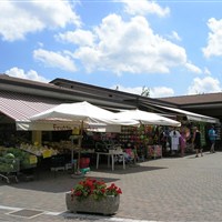 Camping Bella Italia - www.marco-polo.cz