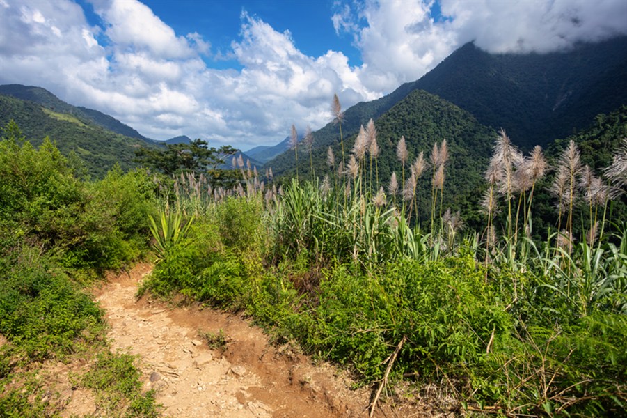 Kolumbie - Trek do Ztraceného města "Ciudad Perdida"