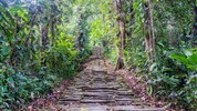 Kolumbie - Trek do Ztraceného města "Ciudad Perdida"