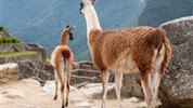 Majestátní Peru s českým průvodcem (TOP program a zážitky)