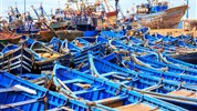 Maroko – královská města a Sahara (8 dní) - Rybářský přístav v Essaouiře s typickými modrými loďkami