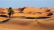 Maroko – královská města a Sahara (8 dní) - Zlaté písečné duny v oblasti Merzouga na Sahaře během slunečného dne