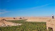 Maroko – královská města a Sahara (8 dní) - Zelená oáza v údolí Ziz Valley kontrastující s pouštní krajinou