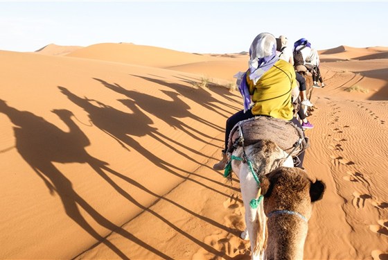 Velký okruh Marokem – Sahara, Marrákeš a Atlantik (11 dní) - Turisté jedoucí na velbloudech přes písečné duny saharské pouště v Maroku během slunečného dne