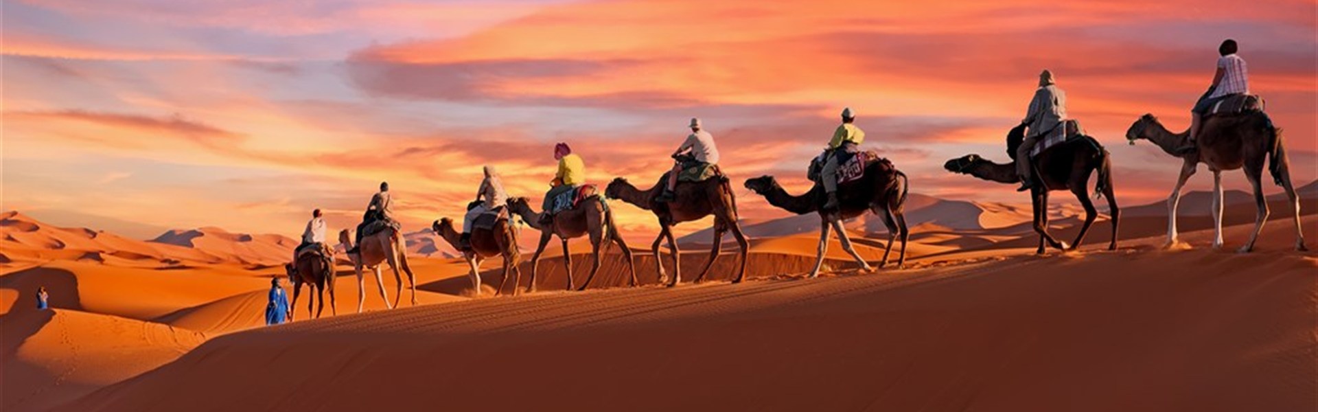 Velká cesta Marokem – od Sahary k Atlantiku (15 dní) - Karavana velbloudů se turisty prochází po písečných dunách saharské pouště při západu slunce v Maroku