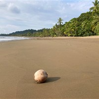 Corcovado Drake Inn - www.marco-polo.cz