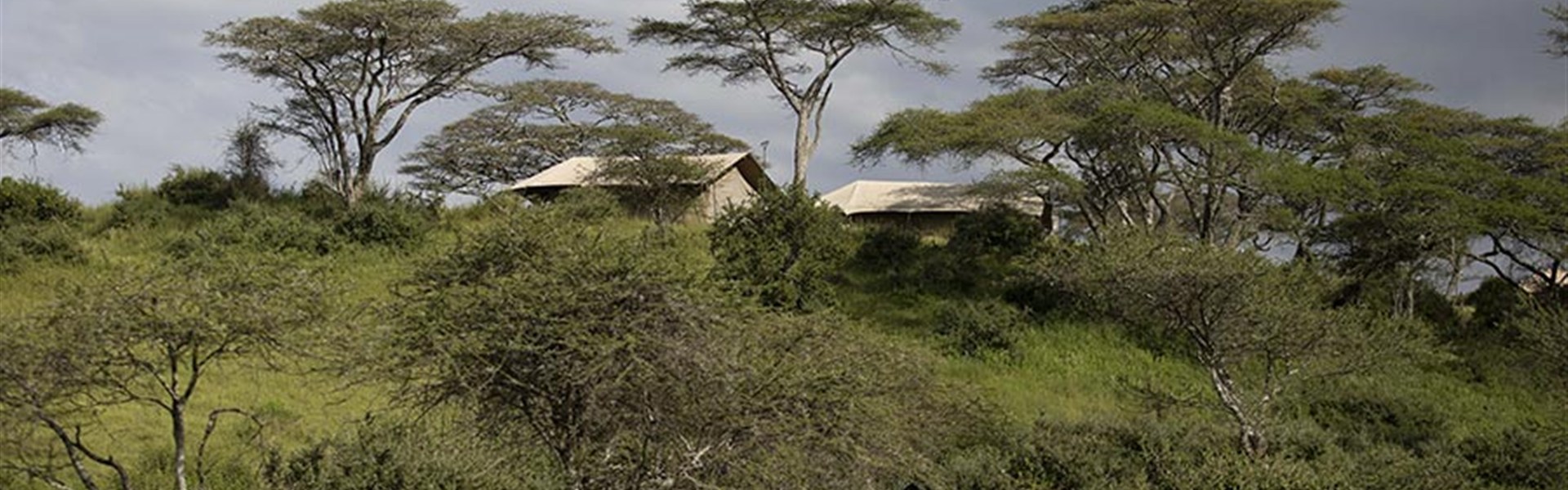 Marco Polo - Nyikani Migration Camp Kogatende 4* - Tanzanie_Serengeti_nyikani-migration-camp_