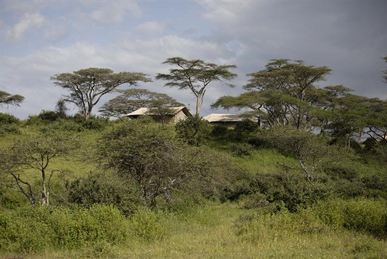 Marco Polo - Nyikani Migration Camp Kogatende 4* - Tanzanie_Serengeti_nyikani-migration-camp_