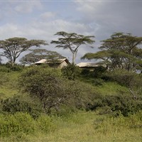 Nyikani Migration Camp Kogatende 4* - Tanzanie_Serengeti_nyikani-migration-camp_ - www.marco-polo.cz