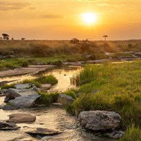 Taasa Migration Camp Kogatende (severní Serengeti)  5* - Taasa Migration Camp Kogatende North Serengeti - www.marco-polo.cz