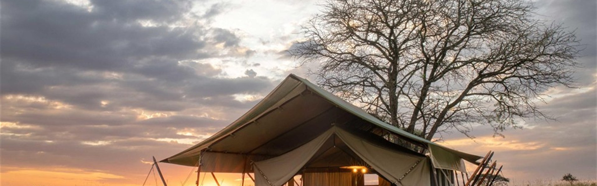 Marco Polo - Taasa Migration Camp Kogatende (severní Serengeti)  5* - Taasa Migration Camp Kogatende North Serengeti