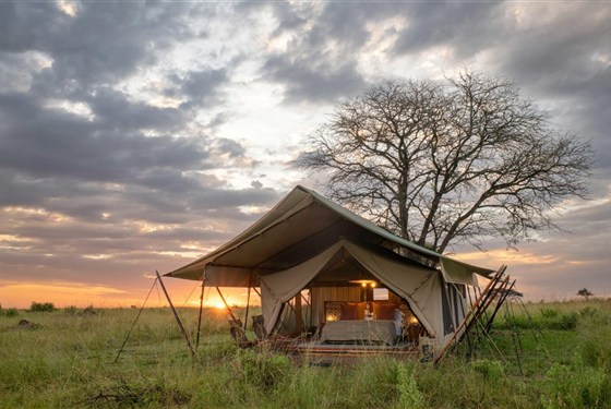Marco Polo - Taasa Migration Camp Kogatende (severní Serengeti)  5* - Taasa Migration Camp Kogatende North Serengeti