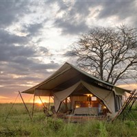 Taasa Migration Camp Kogatende (severní Serengeti)  5* - Taasa Migration Camp Kogatende North Serengeti - www.marco-polo.cz