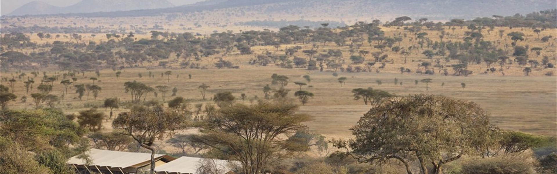 Marco Polo - LabaOut of Africa Legend Central Serengeti - LabaOut of Africa Legend Central Serengeti